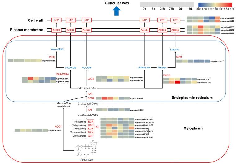 https://cdn.ncbi.nlm.nih.gov/pmc/blobs/c590/10886927/17734f67b0a9/biomolecules-14-00227-g004.jpg