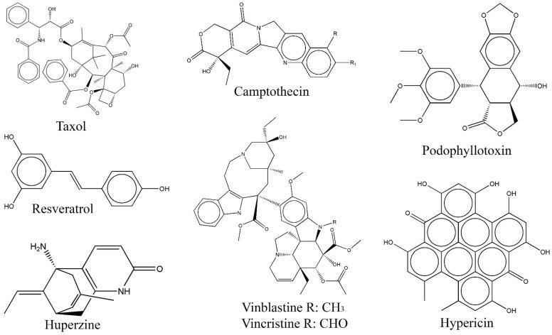 https://cdn.ncbi.nlm.nih.gov/pmc/blobs/c592/10377637/011a75e2c895/biomolecules-13-01038-g002.jpg