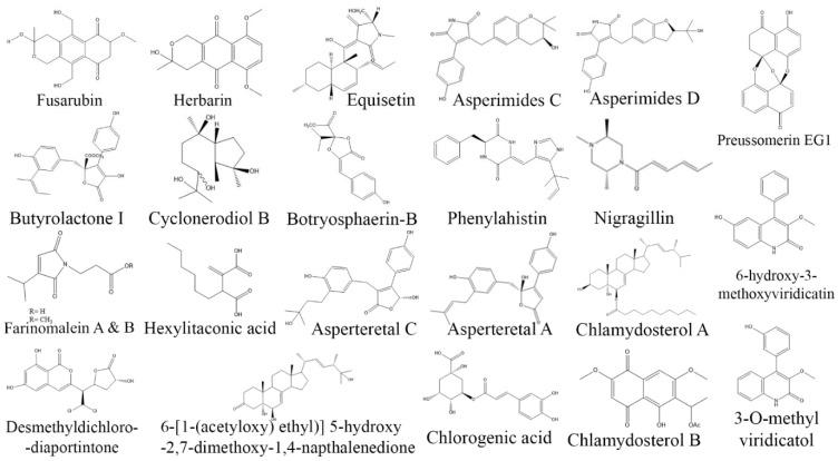 https://cdn.ncbi.nlm.nih.gov/pmc/blobs/c592/10377637/5106d03d8d10/biomolecules-13-01038-g005.jpg