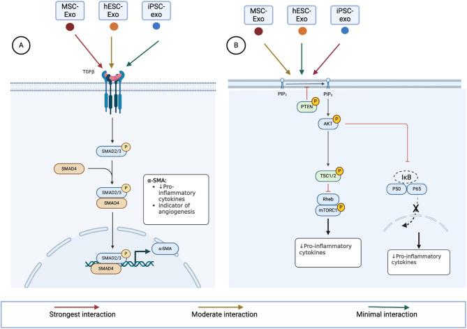 https://cdn.ncbi.nlm.nih.gov/pmc/blobs/c593/12186388/1e3d3108c290/13287_2025_4440_Fig5_HTML.jpg