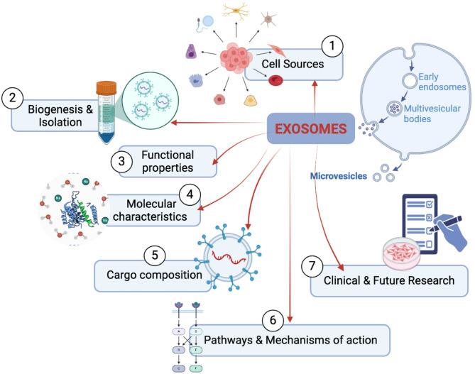 https://cdn.ncbi.nlm.nih.gov/pmc/blobs/c593/12186388/717ea4d45415/13287_2025_4440_Fig1_HTML.jpg