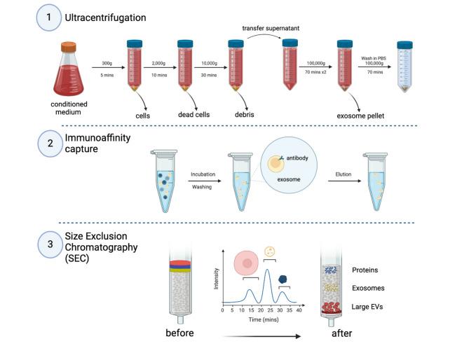 https://cdn.ncbi.nlm.nih.gov/pmc/blobs/c593/12186388/7e40b01d9922/13287_2025_4440_Fig3_HTML.jpg