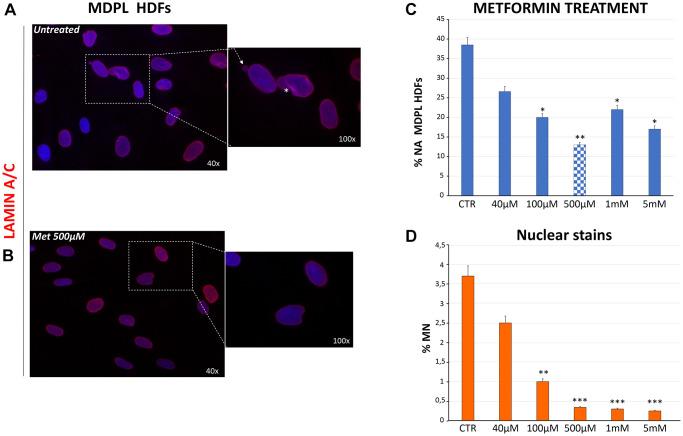 https://cdn.ncbi.nlm.nih.gov/pmc/blobs/c593/8908938/821011da7bd3/aging-14-203910-g005.jpg