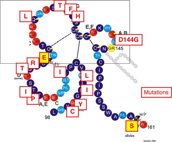 https://cdn.ncbi.nlm.nih.gov/pmc/blobs/c596/3729363/37ced987173e/1743-422X-10-239-8.jpg