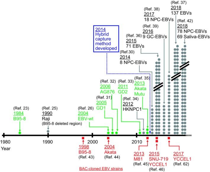 https://cdn.ncbi.nlm.nih.gov/pmc/blobs/c596/6447851/f0bfb66cb8b8/CAS-110-1132-g004.jpg