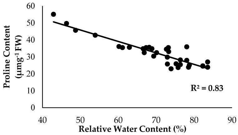https://cdn.ncbi.nlm.nih.gov/pmc/blobs/c597/10892973/4858517796f3/plants-13-00542-g012.jpg
