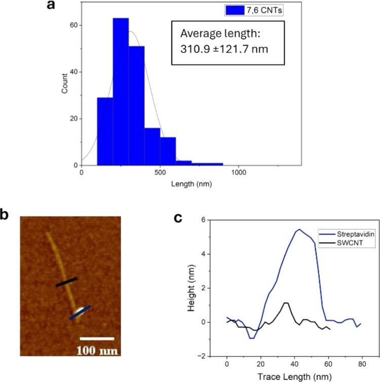 https://cdn.ncbi.nlm.nih.gov/pmc/blobs/c597/11659895/426fd57c0308/ng4c00025_0001.jpg