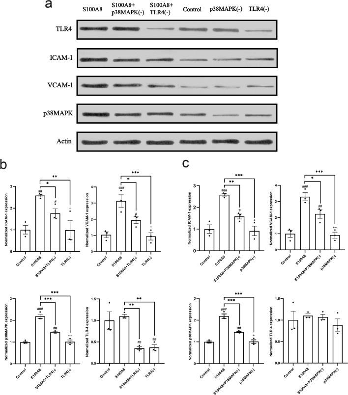 https://cdn.ncbi.nlm.nih.gov/pmc/blobs/c598/11164926/f3639bd4b0de/41598_2024_61728_Fig3_HTML.jpg