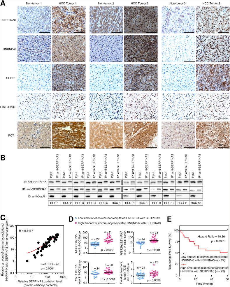 https://cdn.ncbi.nlm.nih.gov/pmc/blobs/c59b/6529774/8bcf3ff813af/gr6.jpg