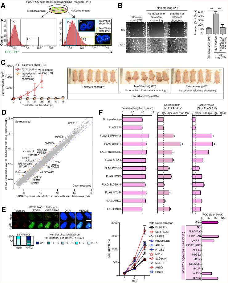 https://cdn.ncbi.nlm.nih.gov/pmc/blobs/c59b/6529774/ad4aa3c44635/gr1.jpg