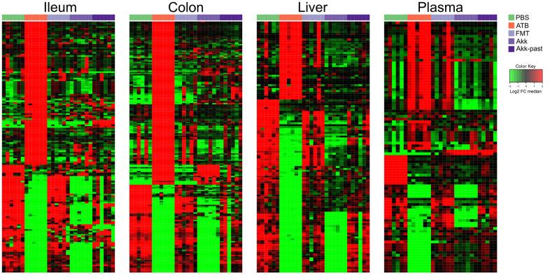 https://cdn.ncbi.nlm.nih.gov/pmc/blobs/c59d/7993698/623680fa5bbe/aging-13-202739-g006.jpg