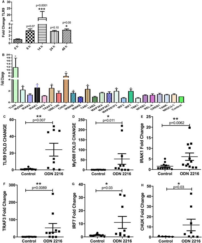 https://cdn.ncbi.nlm.nih.gov/pmc/blobs/c59e/9788197/71982a037172/SJI-96-e13214-g004.jpg