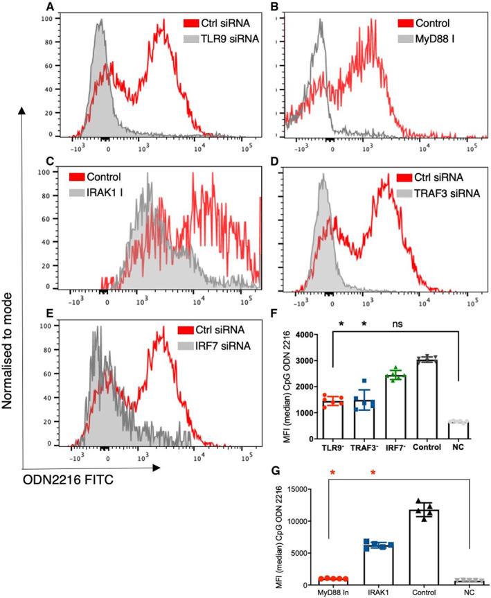https://cdn.ncbi.nlm.nih.gov/pmc/blobs/c59e/9788197/9d1364f25d40/SJI-96-e13214-g007.jpg
