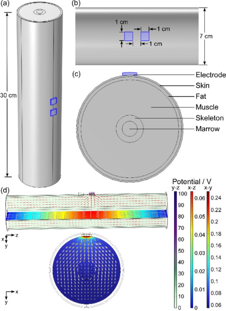 https://cdn.ncbi.nlm.nih.gov/pmc/blobs/c59f/12128545/f6fef844f2a8/12984_2025_1658_Fig3_HTML.jpg