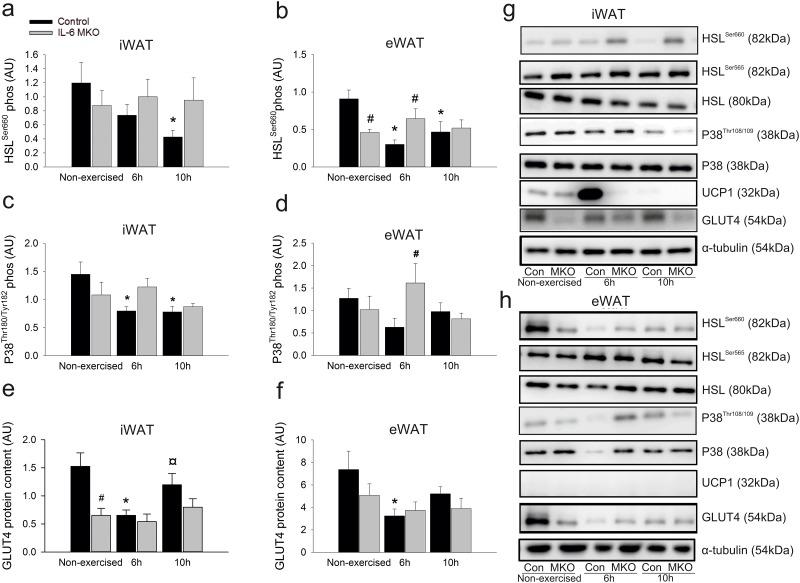 https://cdn.ncbi.nlm.nih.gov/pmc/blobs/c5a1/5734691/2defd18daf46/pone.0189301.g003.jpg