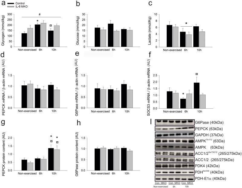 https://cdn.ncbi.nlm.nih.gov/pmc/blobs/c5a1/5734691/55dd91c96cc5/pone.0189301.g006.jpg