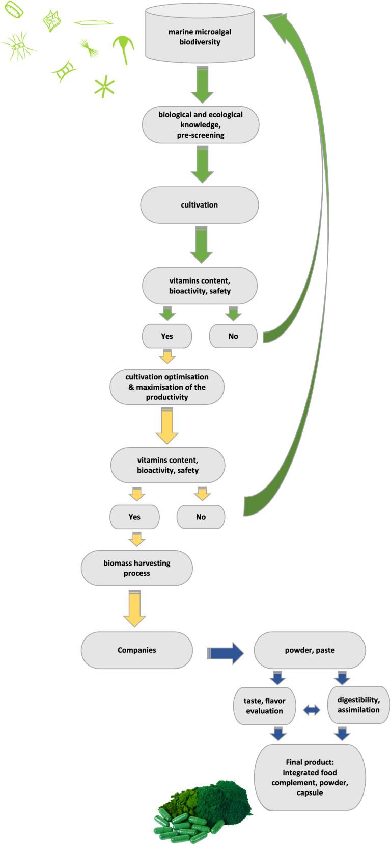https://cdn.ncbi.nlm.nih.gov/pmc/blobs/c5a2/7607653/8bf14535c1d7/12934_2020_1459_Fig4_HTML.jpg