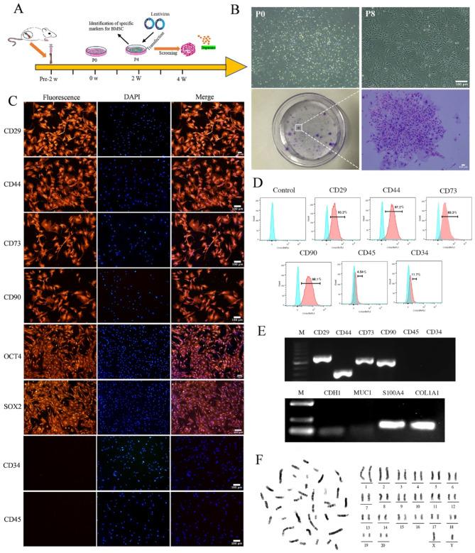 https://cdn.ncbi.nlm.nih.gov/pmc/blobs/c5a6/11992172/c169d87c92be/41598_2025_97557_Fig1_HTML.jpg