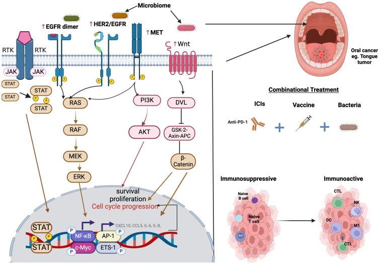 https://cdn.ncbi.nlm.nih.gov/pmc/blobs/c5a6/12380768/cfd654b9197a/fimmu-16-1626243-g002.jpg