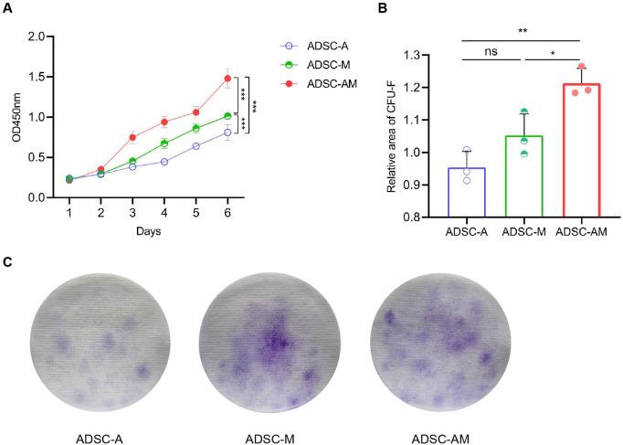 https://cdn.ncbi.nlm.nih.gov/pmc/blobs/c5a8/12122437/5bc05d897695/fcell-13-1566670-g004.jpg