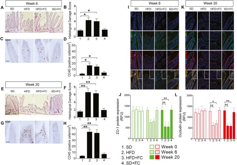 https://cdn.ncbi.nlm.nih.gov/pmc/blobs/c5a9/8126158/10b31a4fb847/12974_2021_2164_Fig1_HTML.jpg