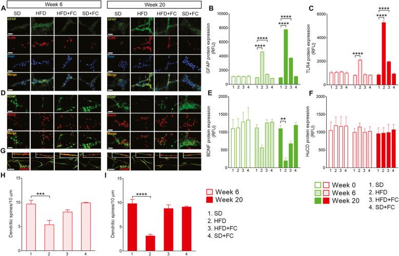 https://cdn.ncbi.nlm.nih.gov/pmc/blobs/c5a9/8126158/a4c9a37aca03/12974_2021_2164_Fig2_HTML.jpg