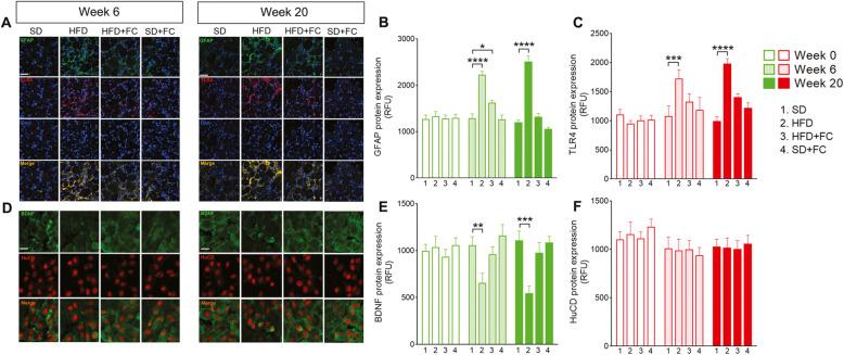 https://cdn.ncbi.nlm.nih.gov/pmc/blobs/c5a9/8126158/e312fc4be359/12974_2021_2164_Fig3_HTML.jpg