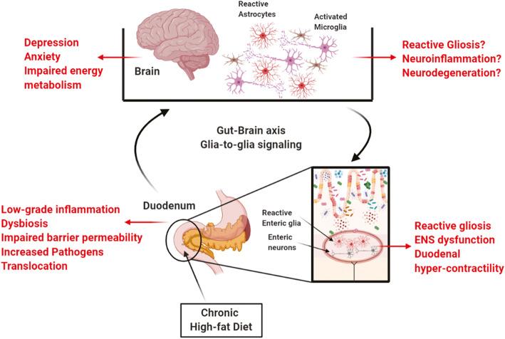 https://cdn.ncbi.nlm.nih.gov/pmc/blobs/c5a9/8126158/e67441fb53a6/12974_2021_2164_Fig6_HTML.jpg