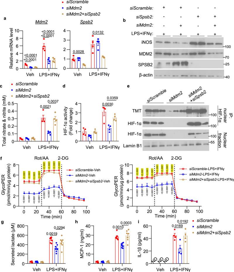 https://cdn.ncbi.nlm.nih.gov/pmc/blobs/c5ab/11452520/0bb46322a025/41467_2024_53006_Fig6_HTML.jpg
