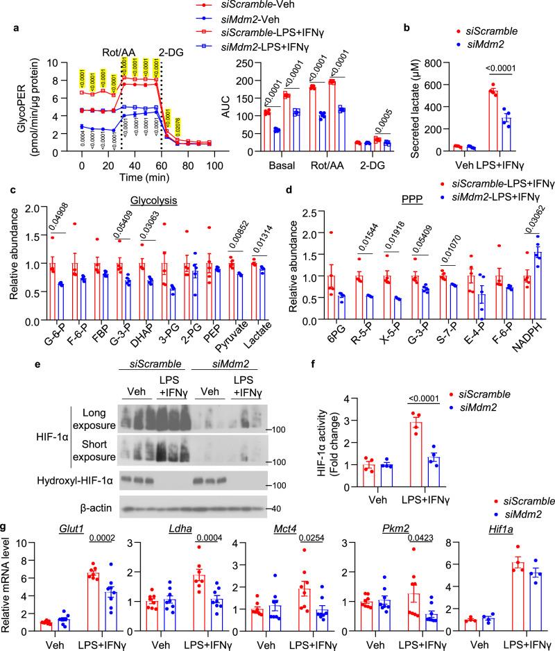 https://cdn.ncbi.nlm.nih.gov/pmc/blobs/c5ab/11452520/48219de7edd8/41467_2024_53006_Fig2_HTML.jpg