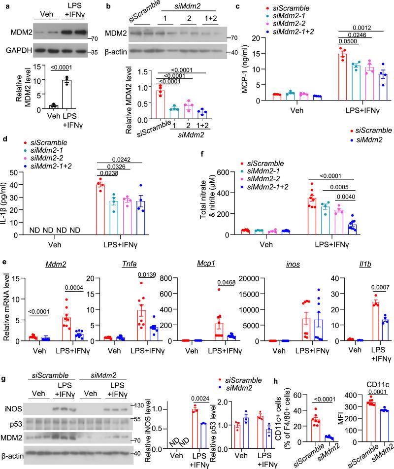 https://cdn.ncbi.nlm.nih.gov/pmc/blobs/c5ab/11452520/986d743c3cc2/41467_2024_53006_Fig1_HTML.jpg