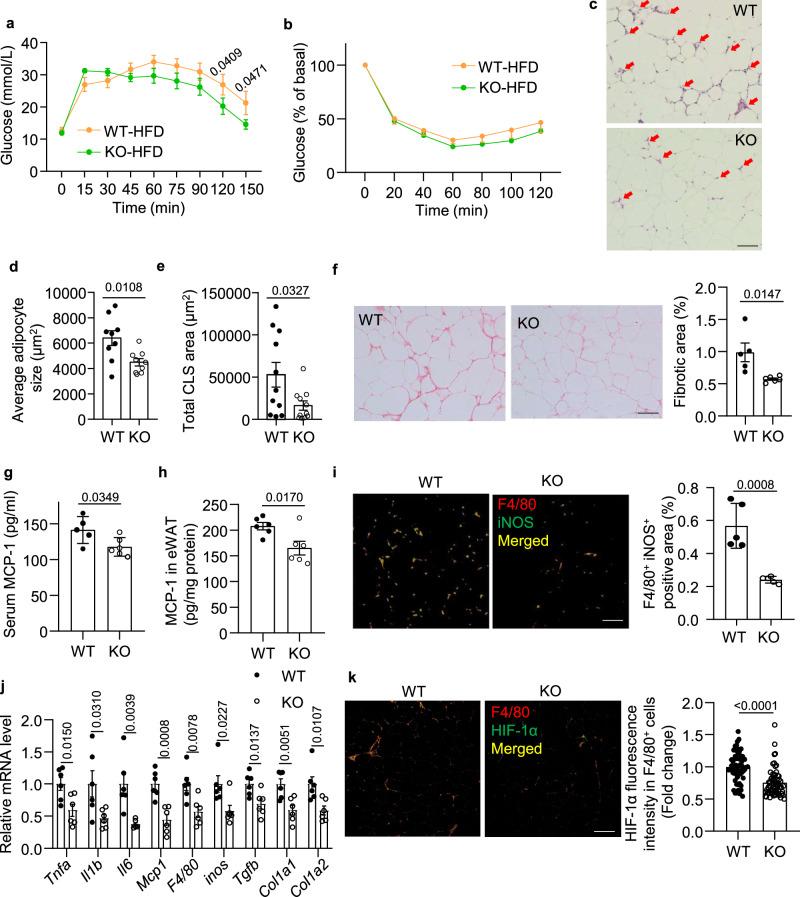 https://cdn.ncbi.nlm.nih.gov/pmc/blobs/c5ab/11452520/f6f4ba84a2d5/41467_2024_53006_Fig10_HTML.jpg