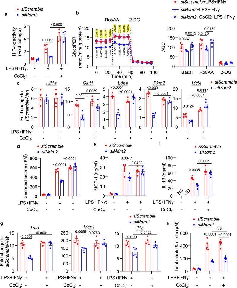 https://cdn.ncbi.nlm.nih.gov/pmc/blobs/c5ab/11452520/fd6052b85db1/41467_2024_53006_Fig3_HTML.jpg
