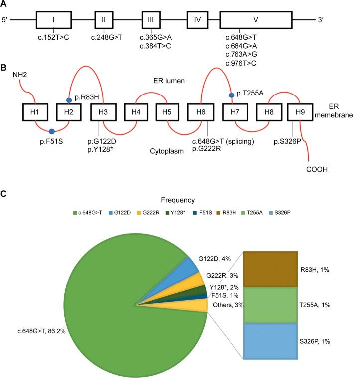 https://cdn.ncbi.nlm.nih.gov/pmc/blobs/c5ab/7014716/d3ce6bc78e6d/13023_2020_1321_Fig1_HTML.jpg
