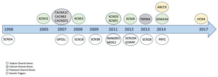 https://cdn.ncbi.nlm.nih.gov/pmc/blobs/c5ac/11593457/c2e8ab96bcb5/ijms-25-12034-g001.jpg