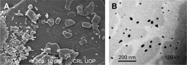 https://cdn.ncbi.nlm.nih.gov/pmc/blobs/c5af/5866724/ba08aa440f15/ijn-13-1677Fig4.jpg