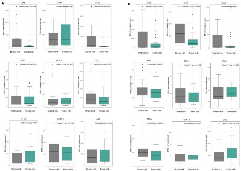 https://cdn.ncbi.nlm.nih.gov/pmc/blobs/c5b1/12345659/53c46589cca7/cancers-17-02529-g005.jpg