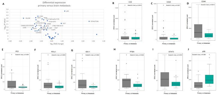 https://cdn.ncbi.nlm.nih.gov/pmc/blobs/c5b1/12345659/a09184d16bc5/cancers-17-02529-g002.jpg