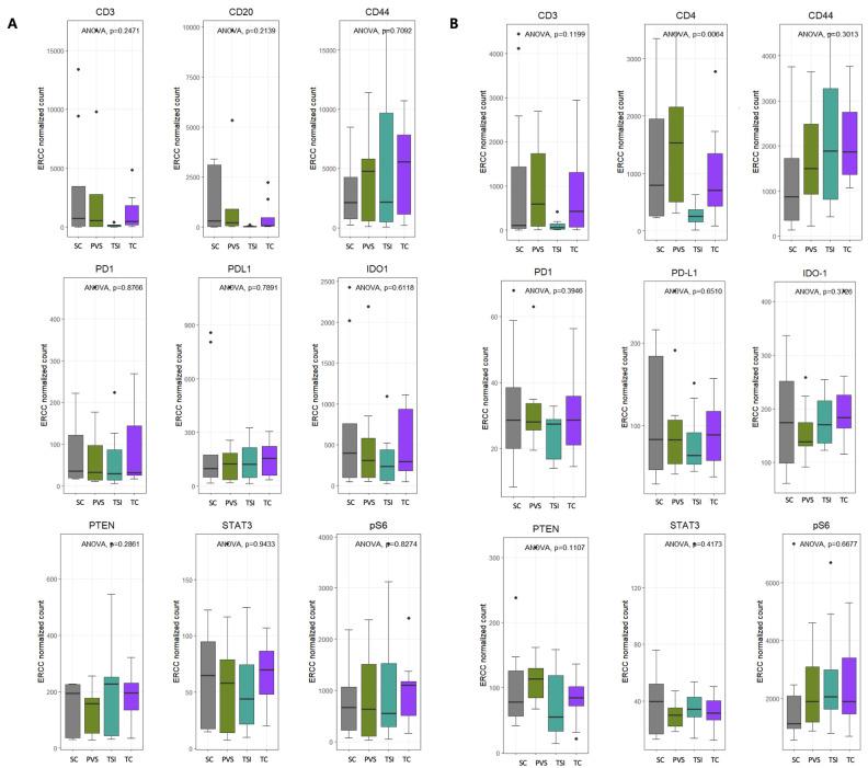 https://cdn.ncbi.nlm.nih.gov/pmc/blobs/c5b1/12345659/e2940993542a/cancers-17-02529-g004.jpg