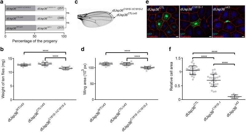 https://cdn.ncbi.nlm.nih.gov/pmc/blobs/c5b1/12406001/68ed536089c7/iyaf131f2.jpg