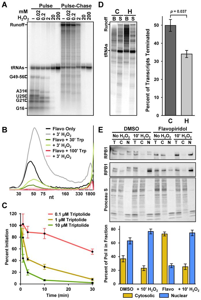 https://cdn.ncbi.nlm.nih.gov/pmc/blobs/c5b1/5737879/7ce3b812f149/gkx724fig6.jpg