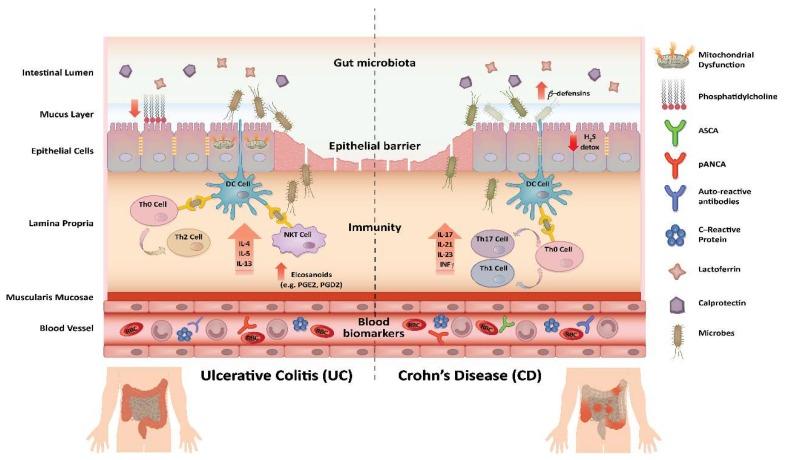 https://cdn.ncbi.nlm.nih.gov/pmc/blobs/c5b3/6163330/2ad64289395a/ijms-19-02775-g001.jpg