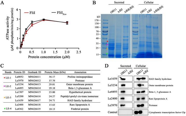 https://cdn.ncbi.nlm.nih.gov/pmc/blobs/c5b4/7688988/c0d53c3cfd08/gr2.jpg
