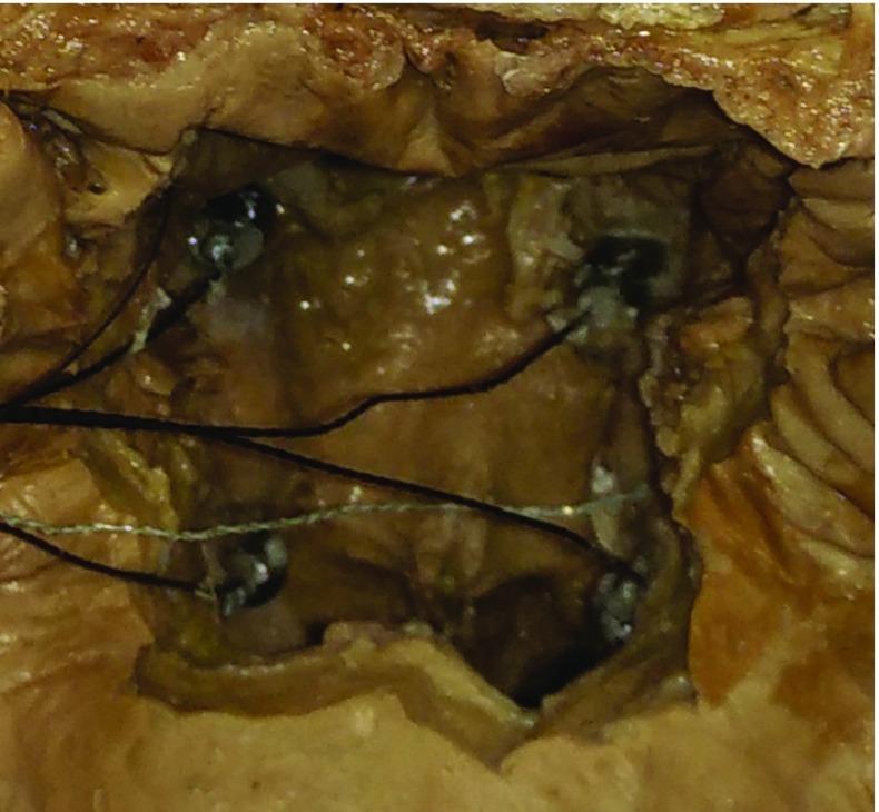 https://cdn.ncbi.nlm.nih.gov/pmc/blobs/c5b6/6949325/09ba3a6cd70f/11548_2019_2066_Fig10_HTML.jpg