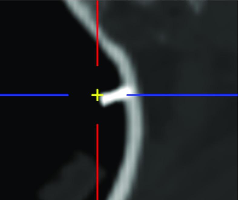 https://cdn.ncbi.nlm.nih.gov/pmc/blobs/c5b6/6949325/1eabcd259540/11548_2019_2066_Fig11_HTML.jpg