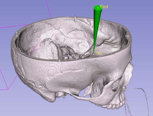 https://cdn.ncbi.nlm.nih.gov/pmc/blobs/c5b6/6949325/9378ef22841b/11548_2019_2066_Fig7_HTML.jpg