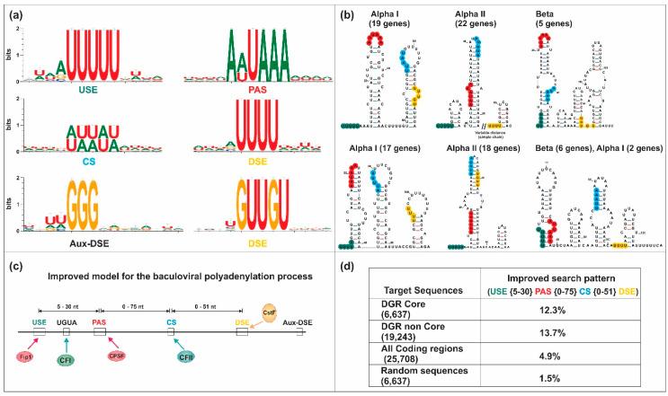 https://cdn.ncbi.nlm.nih.gov/pmc/blobs/c5b7/7762203/028fa80f1ef6/viruses-12-01395-g005.jpg