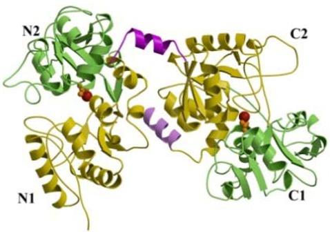 https://cdn.ncbi.nlm.nih.gov/pmc/blobs/c5b9/6264778/8911dbb60e76/molecules-16-06992-g001.jpg