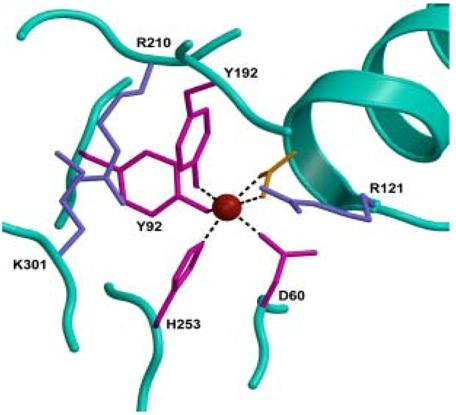 https://cdn.ncbi.nlm.nih.gov/pmc/blobs/c5b9/6264778/c5c1e47d481e/molecules-16-06992-g002.jpg