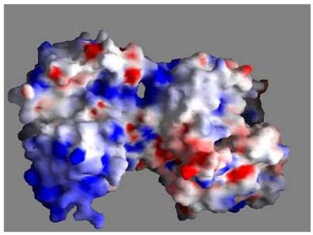 https://cdn.ncbi.nlm.nih.gov/pmc/blobs/c5b9/6264778/f90e9b002a1a/molecules-16-06992-g003.jpg